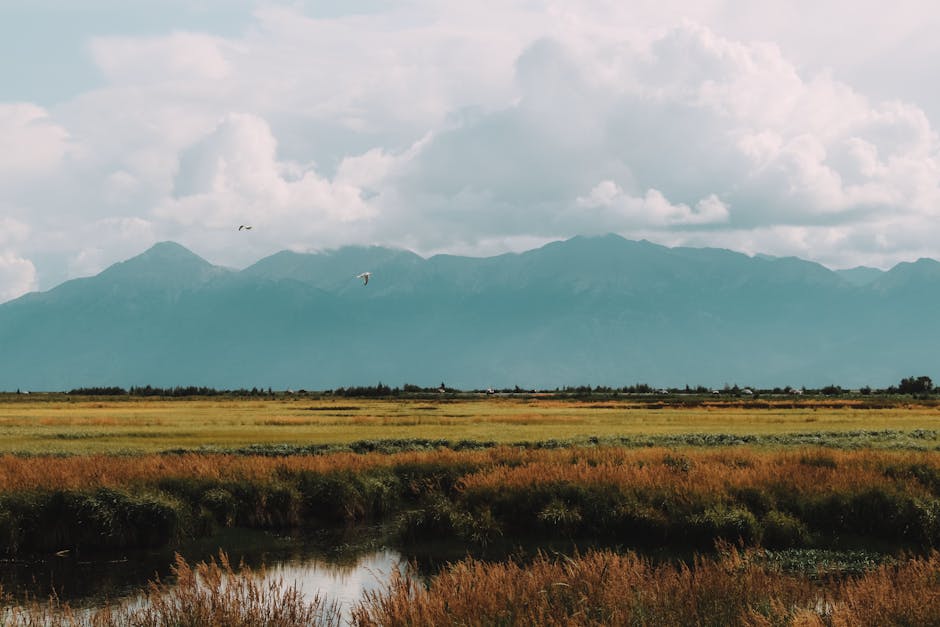 Anchorage Outdoor Film Festival — Festival