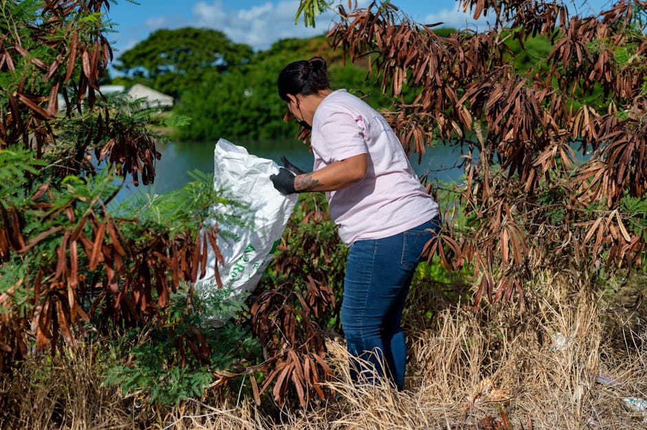Chugach State Park Cleanup — April 18, 2026 — A volunteer cleaning up debris near a lake in Hawaii, promoting environmental care.