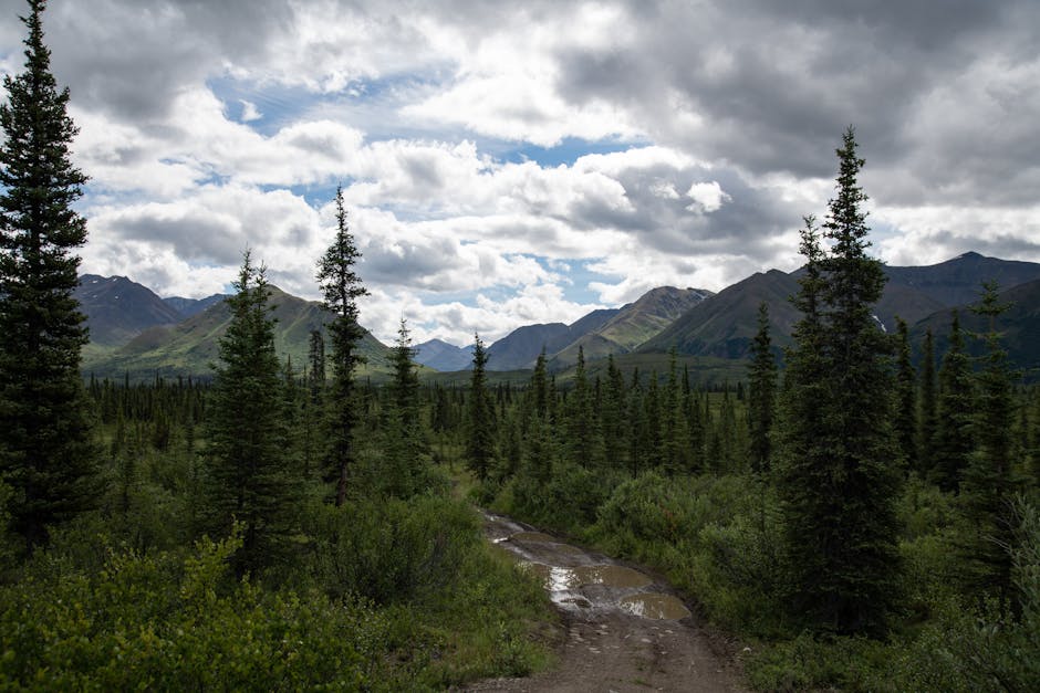 Chugach State Park Guided Hike — Guided Hike