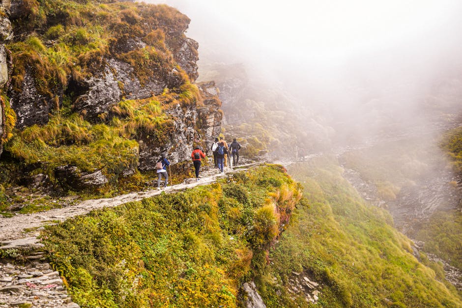 Chugach State Park Nature Walk — May 22, 2026 — Group trekking along a foggy mountain path in Tungnath, Uttarakhand, India.