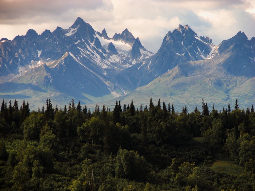 Fairbanks Bear Safety Clinic — June 12, 2026 — Breathtaking view of a rugged mountain range with lush green forest in the foreground.