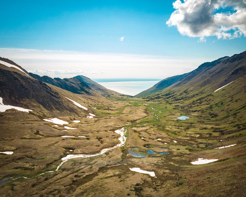 Fairbanks Photography Workshop — August 14, 2026 — Breathtaking view of an Alaskan valley leading to a fjord under a sunny sky.