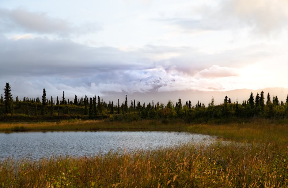 Kenai Peninsula Trail Running Workshop — Workshop