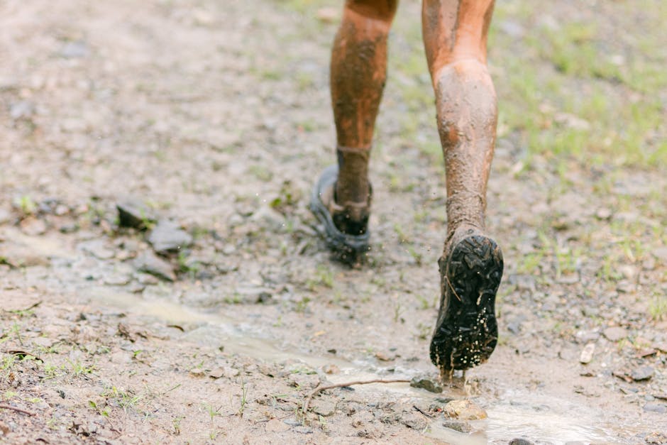 Chugach State Park Trail Run — Trail Race
