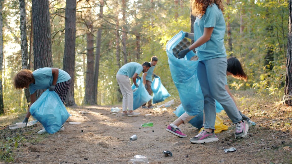 Denali National Park Cleanup — Cleanup