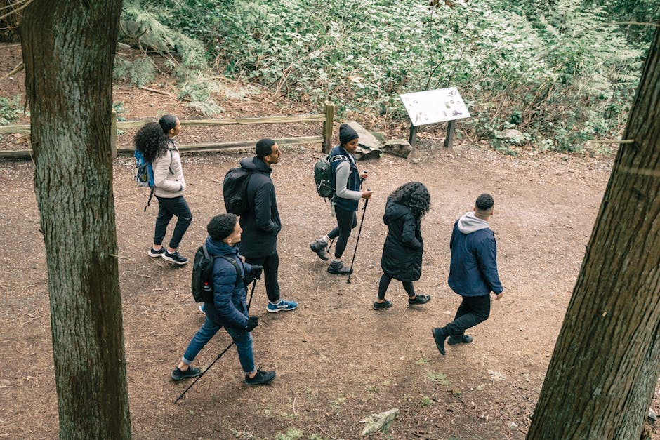 Southeast Alaska Hiking Meetup — Meetup