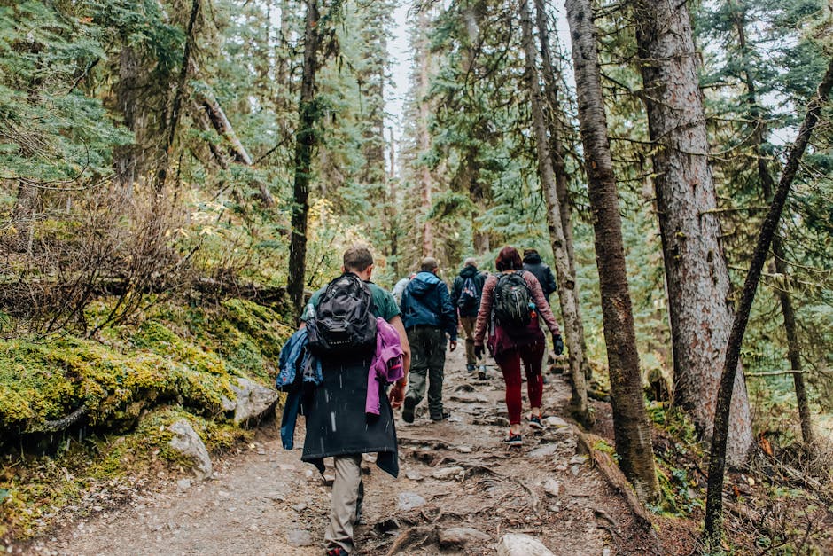 Southeast Alaska Kayaking Meetup — Meetup