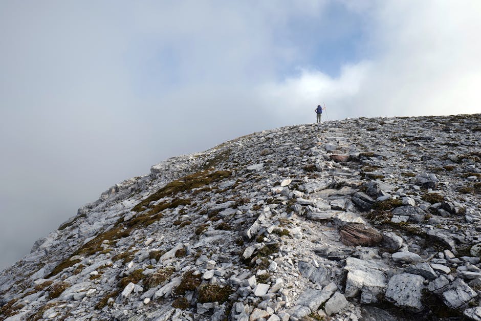 Anchorage Family Hike — Guided Hike