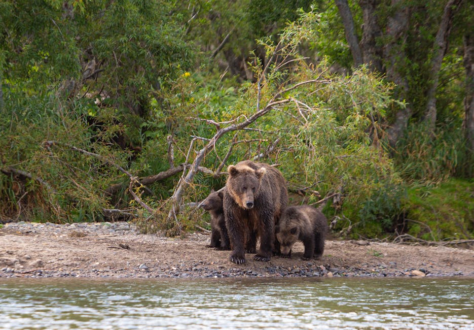 Chugach State Park Star Gazing — Family Event