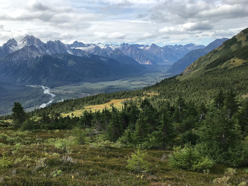 Denali Family Fun Day — Family Event