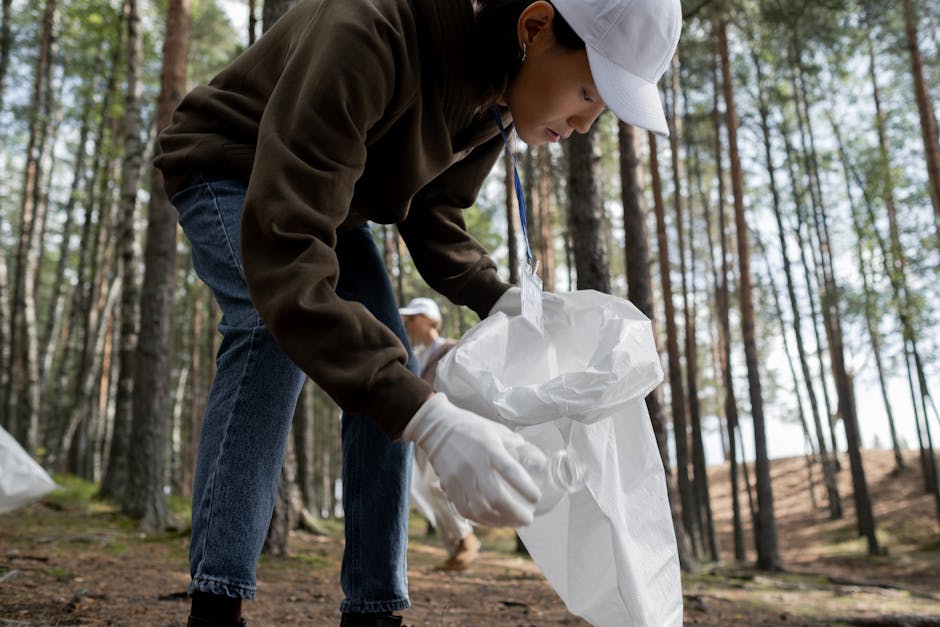 Denali National Park Volunteer Day — Volunteer Day