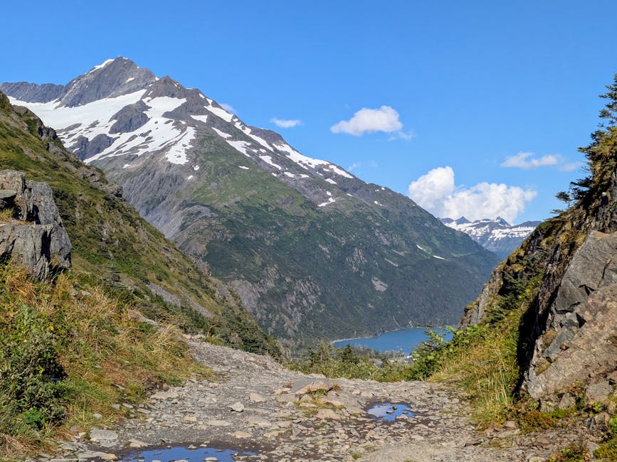 Fairbanks Dog-Friendly Hike — Guided Hike