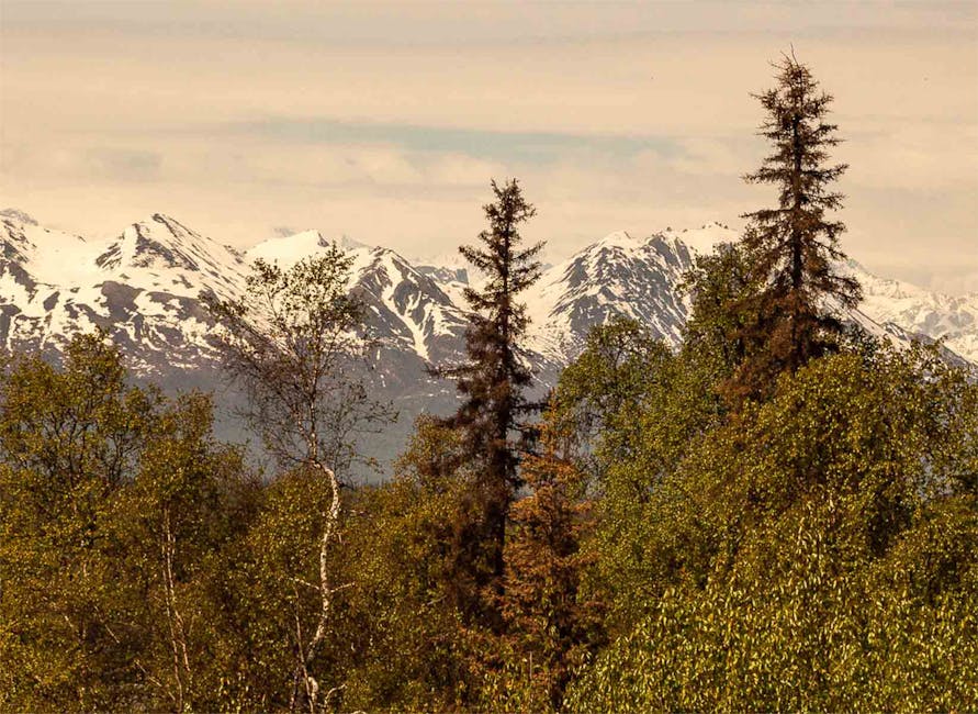 Southeast Alaska Lighthouse Tour — Guided Tour